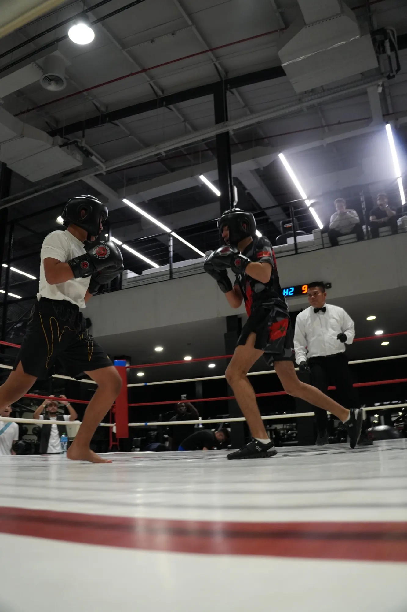 KCG Fight Night at Nogs Gym, Montreal